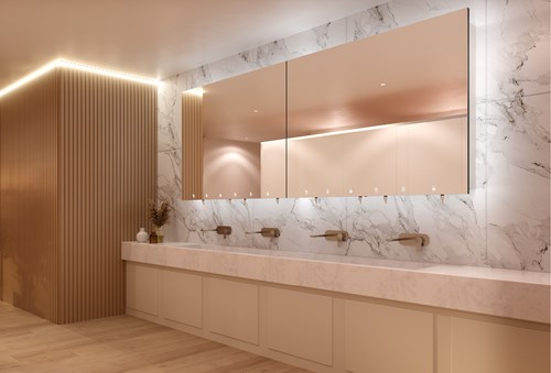 Solid surface washtrough in a contemporary commercial washroom